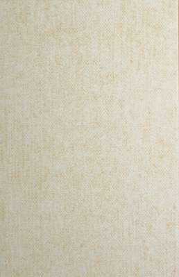 Плитка настенная Евро-Керамика Бежево-Желтая (270x400)