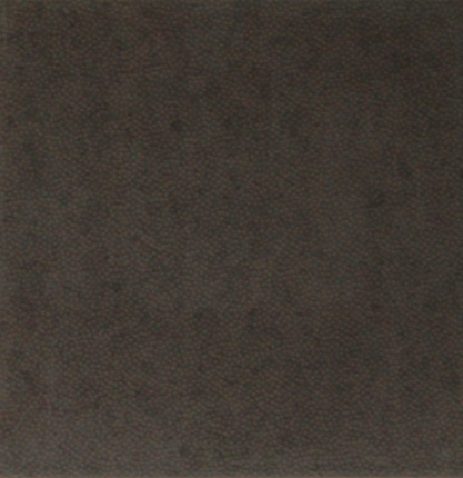 Евро-Керамика Леон Коричневый 20x20