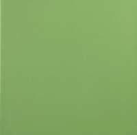 Плитка настенная Евро-Керамика Салатовый (200x200)