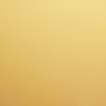 10GCR 0025 Керамогранит Евро-Керамика желтый матовый 60x60 (600x600)