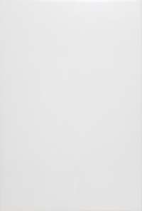 Плитка настенная Евро-Керамика Белый (200x300)