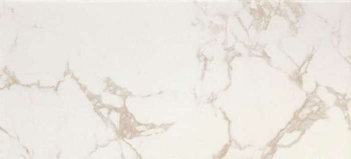 FAP Ceramiche Roma Diamond Calacatta Brillante 50120