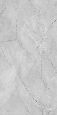 ФМАКС Керамогранит 90x180 Fish Maw Grey Glossy 90x180