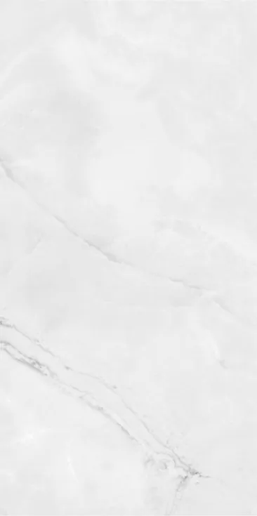 F918Y30309 Керамогранит FMAX Snow Mountain Stone Mat 90x180 (900x1800)