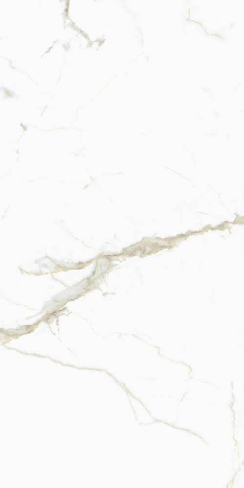 FMG White Calacatta Select Marmi Luc 60x120 -4