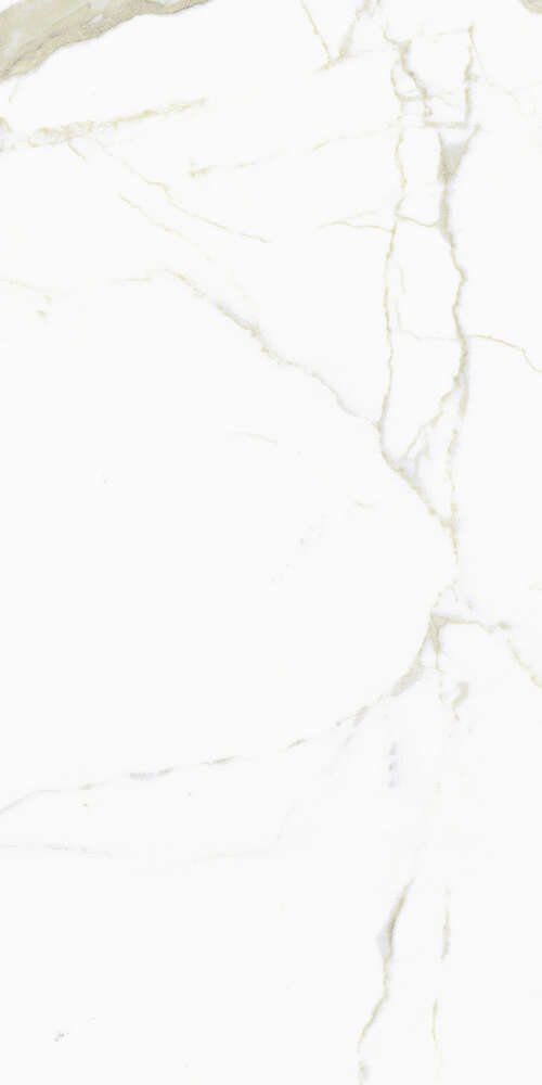 FMG White Calacatta Select Marmi Luc 60x120 -6