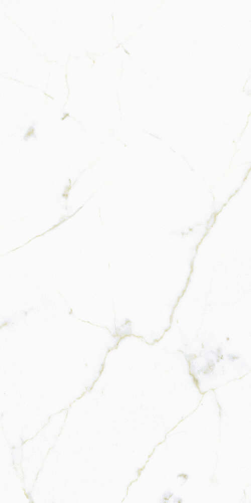 FMG White Calacatta Select Marmi Luc 60x120 -7