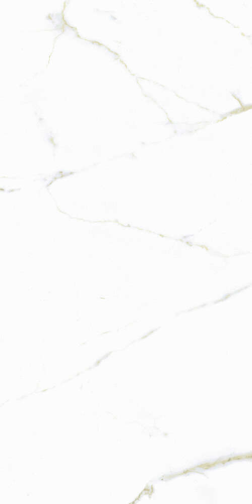 FMG White Calacatta Select Marmi Luc 60x120 -8