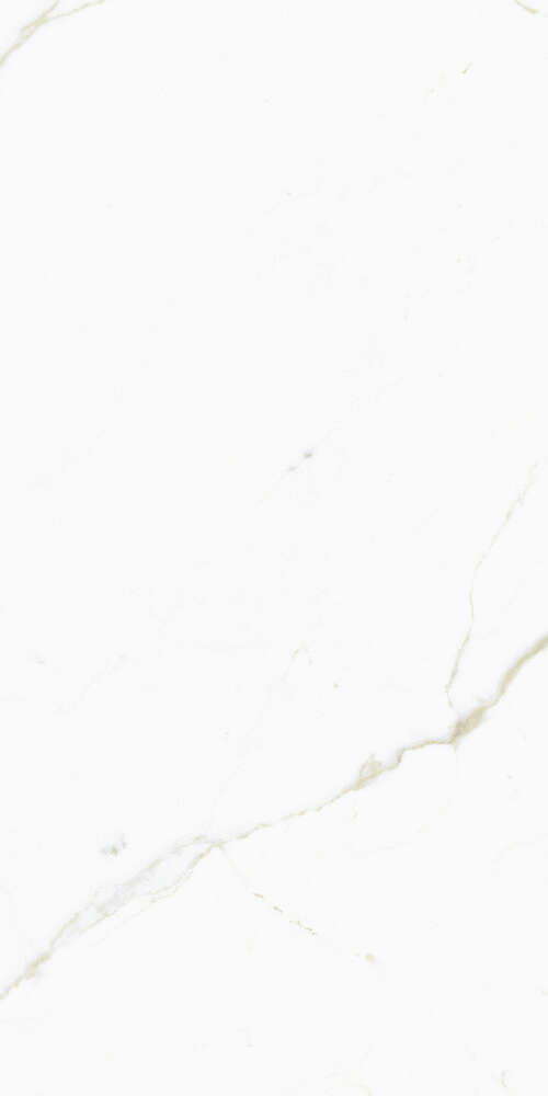 FMG White Calacatta Select Marmi Luc 60x120 -9