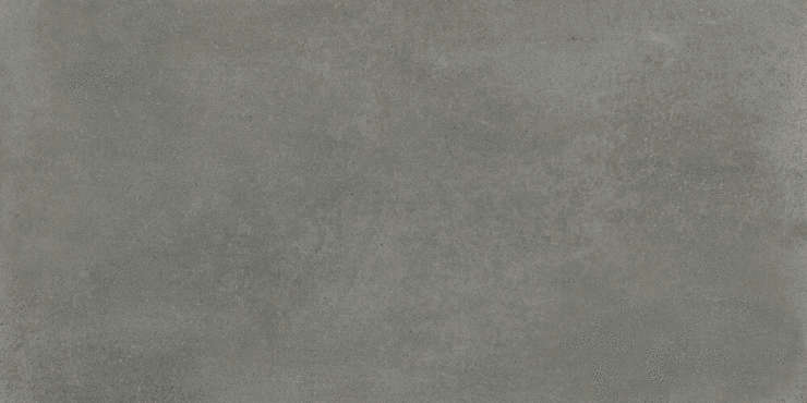 Fanal Evo Grey 60x120 Mat