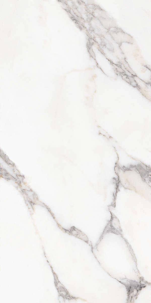 Керамогранит Fanal Decor Opera B Nplus 60x120 (600x1200)