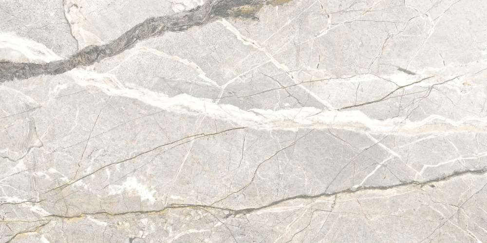 Silver Roots Lux 3D R 60x120 (1200x600)