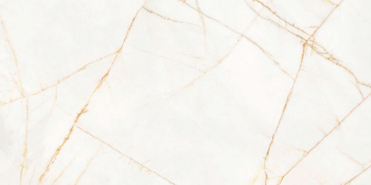 Golden Spider Nat R 60x120 (1200x600)