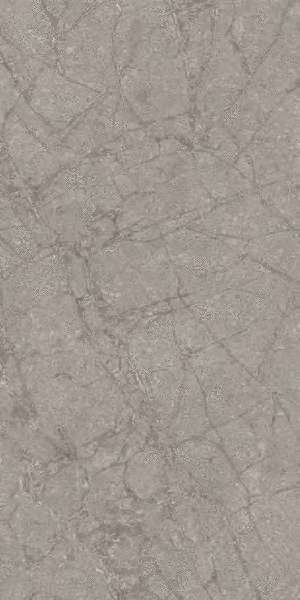 Grey Soapstone Ant R60x120 (600x1200)