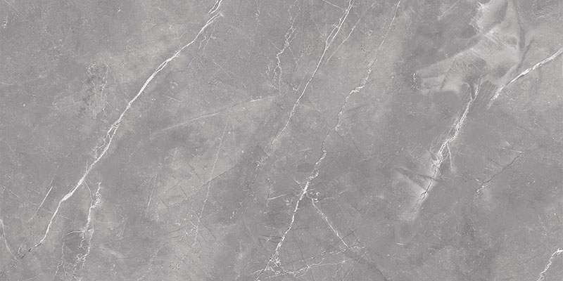 Gris 60x120 Polished (1200x600)