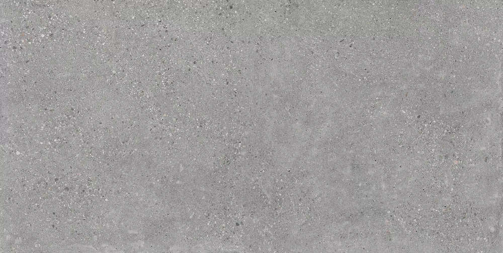 Geotiles Memory Gris Matt 60x120 -2