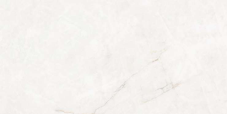 Геотайлс Quartzite White 60x120x0.9