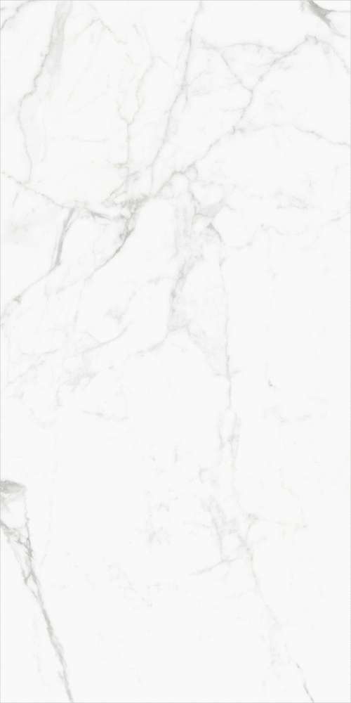 Global Tile Elegant Statuario  60x120  -3