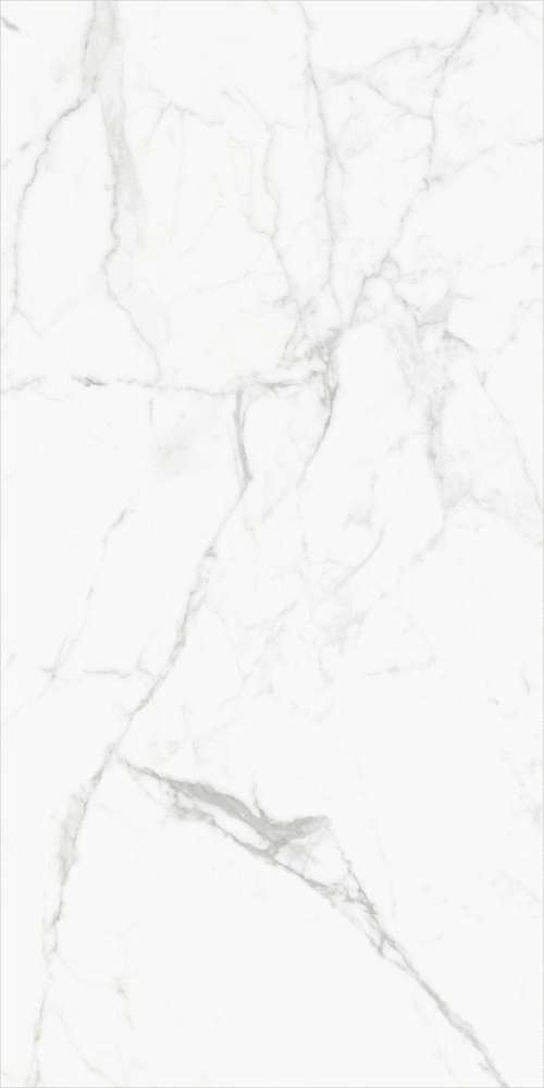 Global Tile Elegant Statuario  60x120  -4
