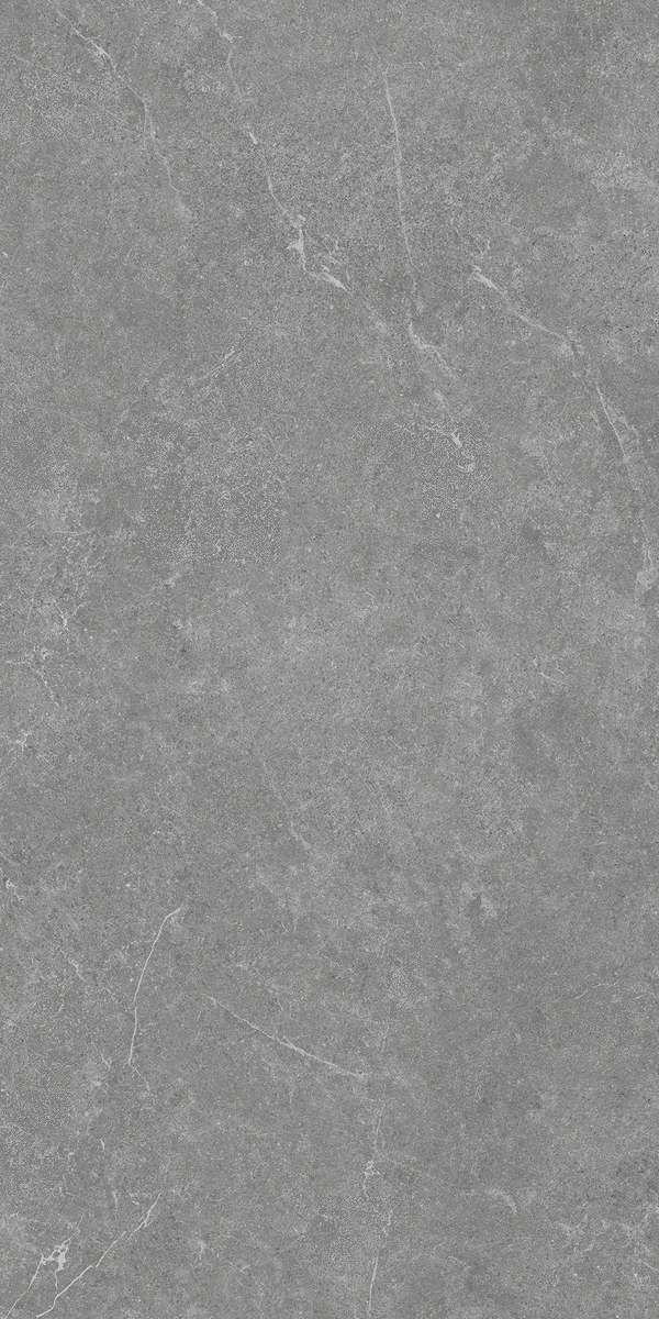 Global Tile Sierra  60x120 -4