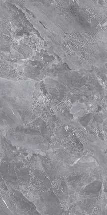 Global Tile Silver  60x120 