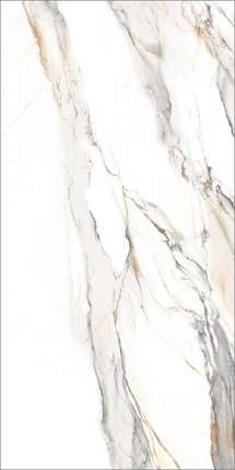 Global Tile Statuario Elite  60x120 