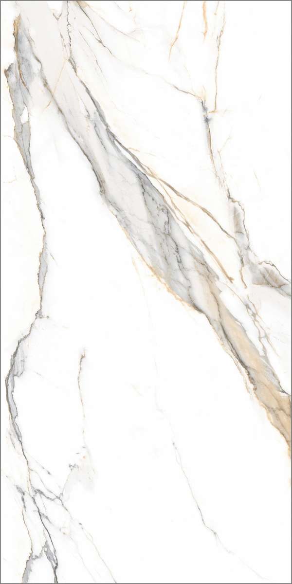 Global Tile Statuario Elite  60x120  -2