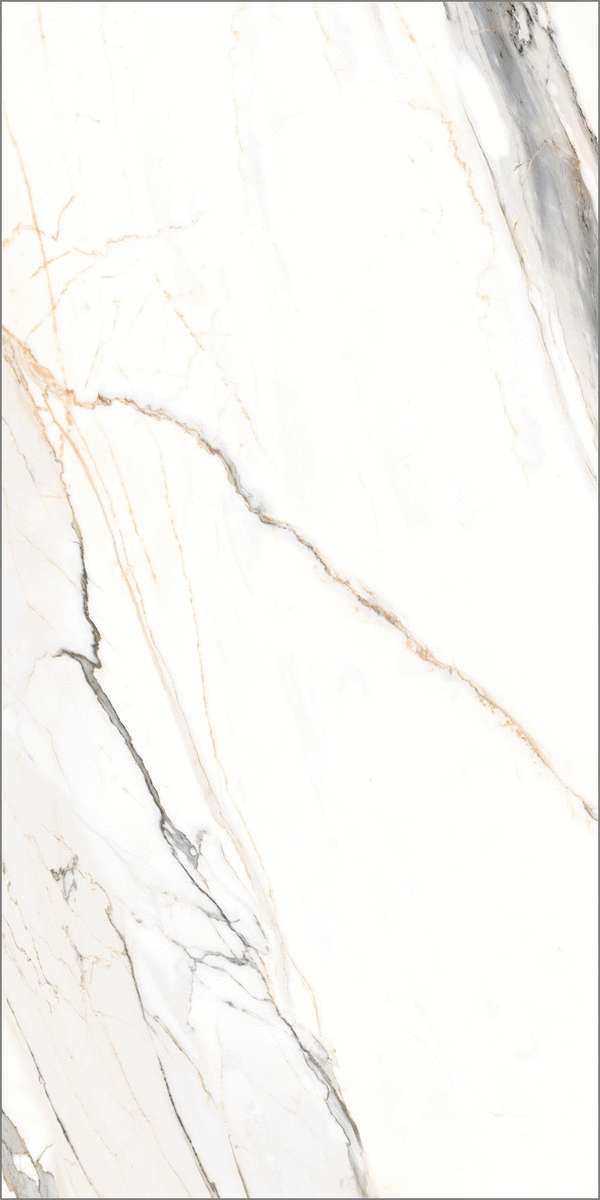 Global Tile Statuario Elite  60x120  -4