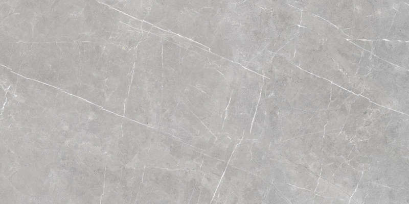 59.7x119.8 Murano Gray Semi Polished Rectified (1198x597)