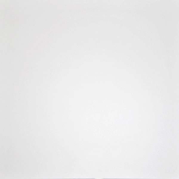 Керамогранит Grasaro G-100/LR белый 60х60 (600x600)