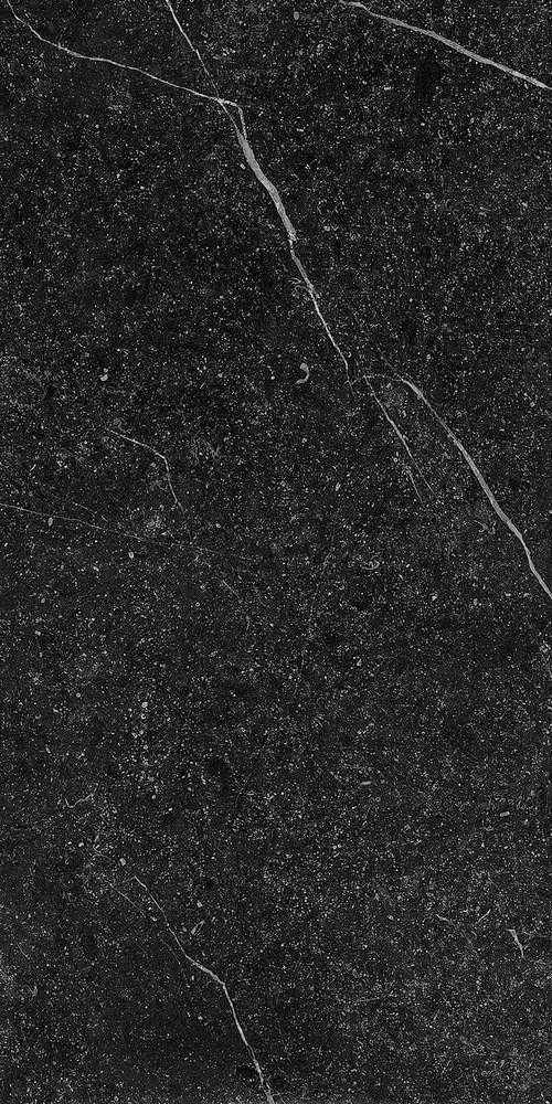 Керамогранит Imola GNS G12N RM 60x120 (600x1200)