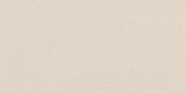 Керамогранит Imola PRTU 12W RM PARADE 60x120 (1200x600)