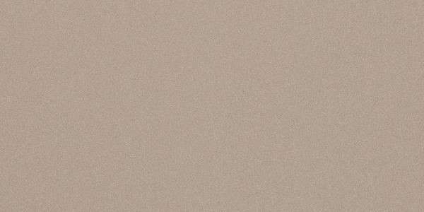 Керамогранит Imola PRTU 12B LV PARADE 60x120 (1200x600)