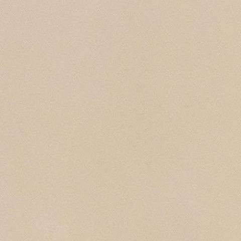 Керамогранит Imola PRTU 60A RM PARADE 60x60 (600x600)