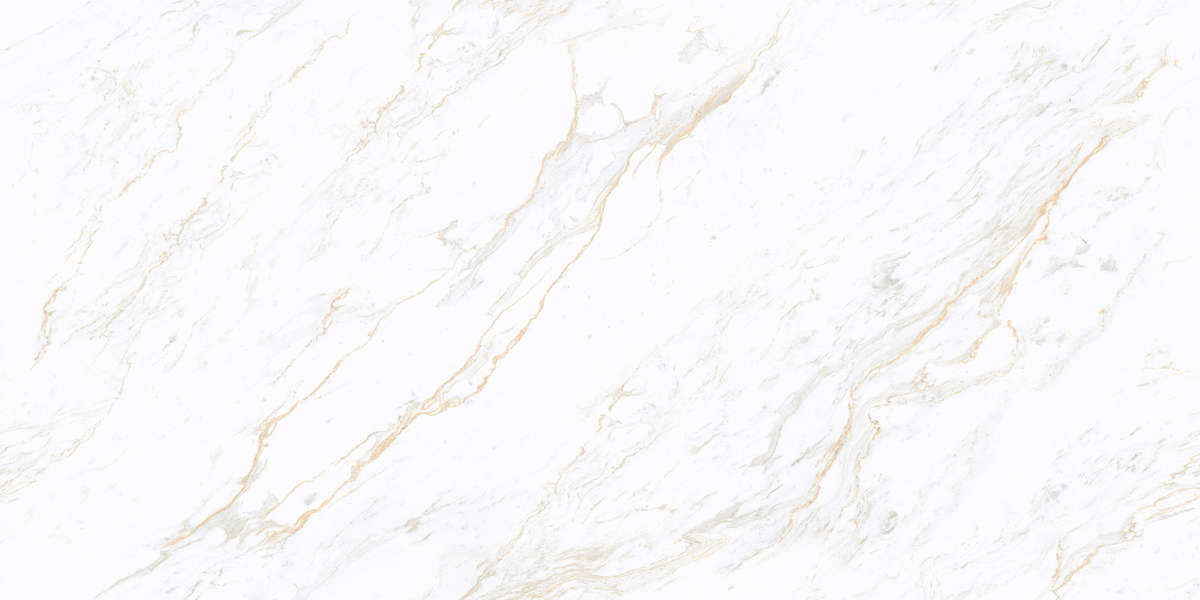 White Glossy Golden Line 60x120 (  - ) (1200x600)