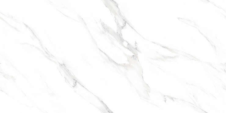 Infinity Ceramic Cortina Bali Ice Bianco Carving 60x120 (    )