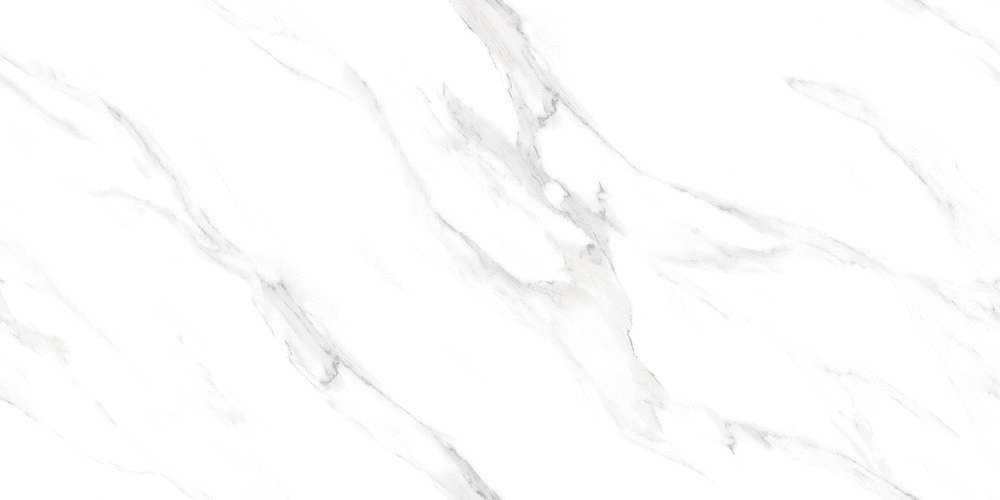 Florida Ice Bianco Carving 60x120 (    ) (1200x600)