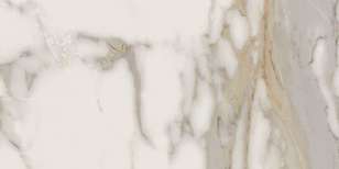 44x88    (880x440)