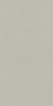 Италон Forum Slim Silver Ret 60x120