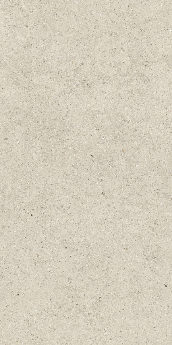 610010004167 Керамогранит Italon Forum Stone Pure Ret 60x120 (600x1200)