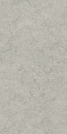 Италон Forum Stone Silver Ret 60x120