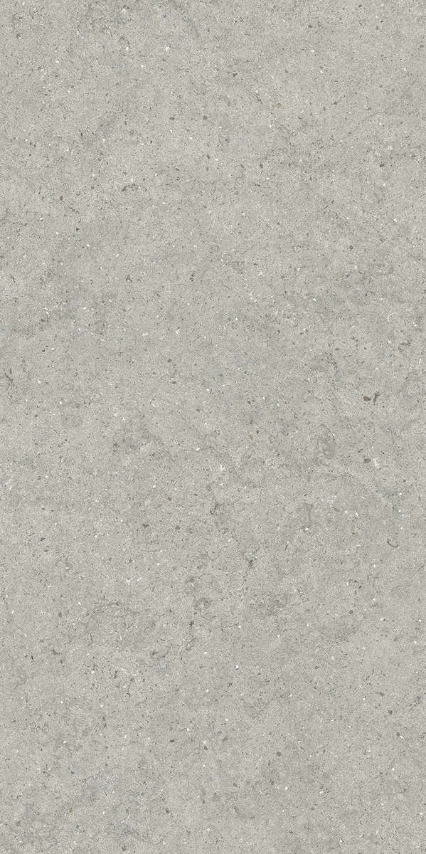 610010004168 Керамогранит Italon Forum Stone Silver Ret 60x120 (600x1200)