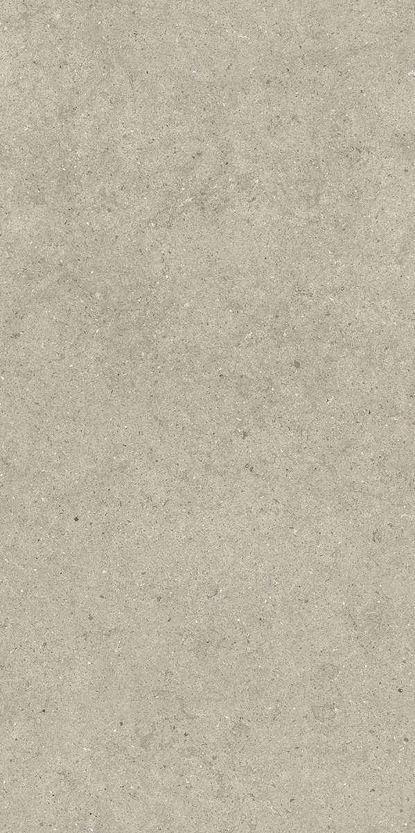 610010004170 Керамогранит Italon Forum Stone Desert Ret 60x120 (600x1200)