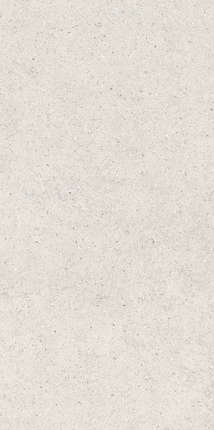 Италон Forum Stone Polar Ret 60x120