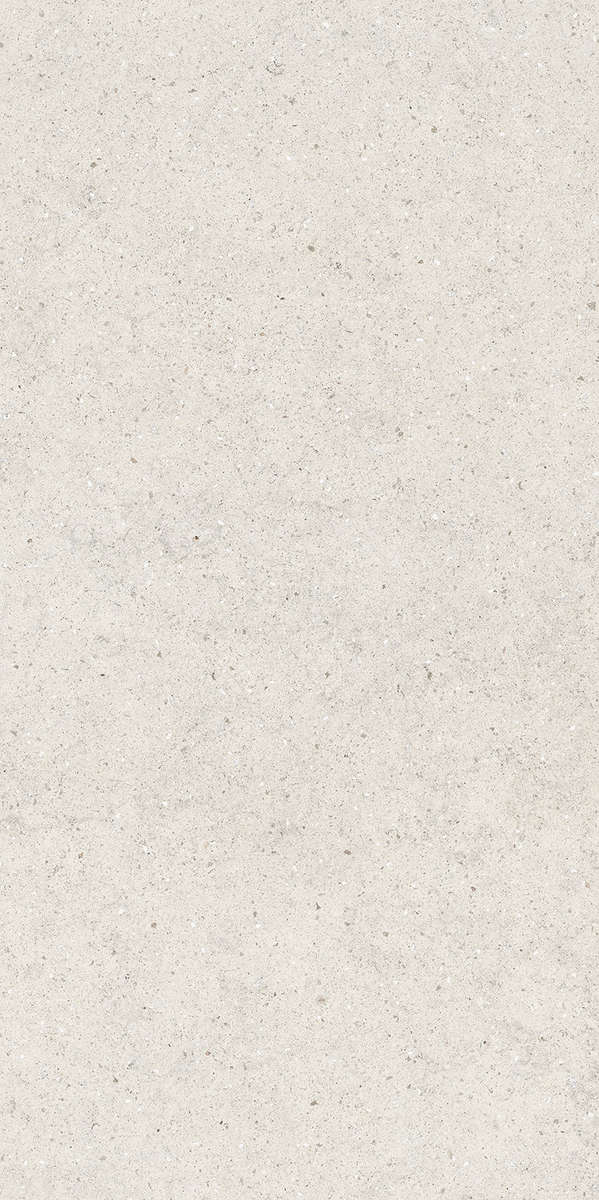 610010004166 Керамогранит Italon Forum Stone Polar Ret 60x120 (600x1200)