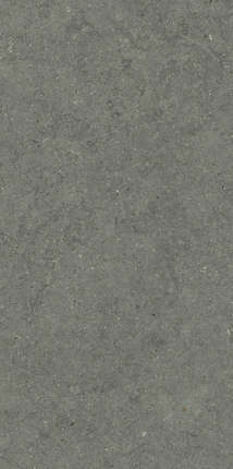 Италон Forum Stone Iron Ret 60x120