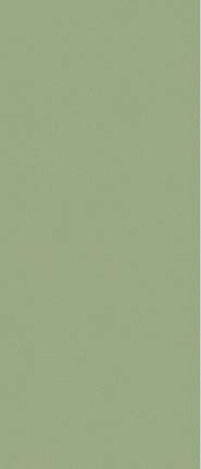Janye Slab Solid Color Pine Green Matt 120x280