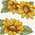sunflowers (100x100)