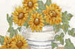 sunflowers (4 ) (312x207)