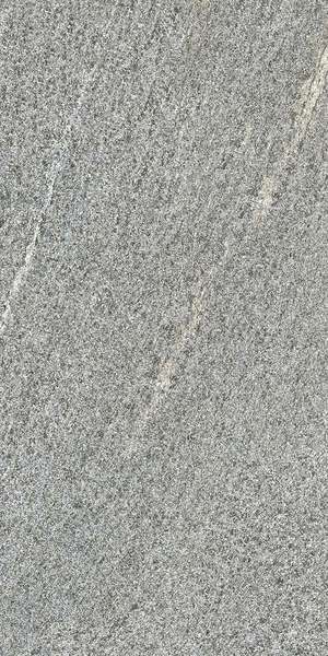 Gneiss Grey R11 RT 30x60 (300x600)
